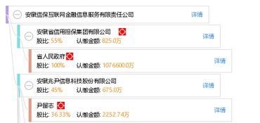 安徽信?；ヂ?lián)網(wǎng)金融信息服務(wù)有限責(zé)任公司 深耕互聯(lián)網(wǎng)信息服務(wù)，賦能區(qū)域金融創(chuàng)新